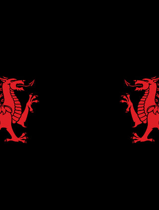 Graphic of Two Wrexham Red Dragons  on black background.